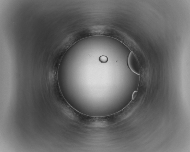 X0000112940601200908241322