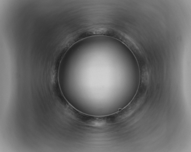 X0000112940604200908241322