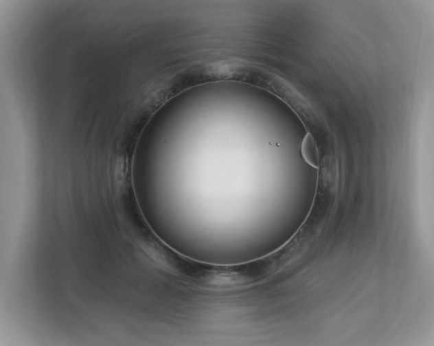 X0000112940605200908241322