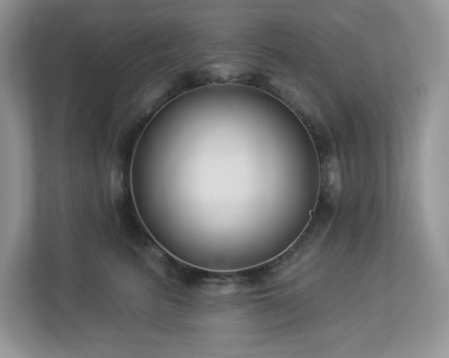 X0000112940615200908241322