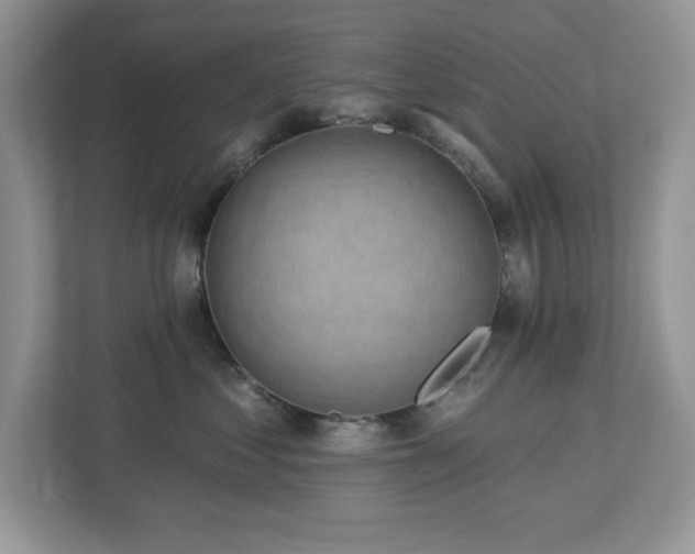X0000112940621200908241321