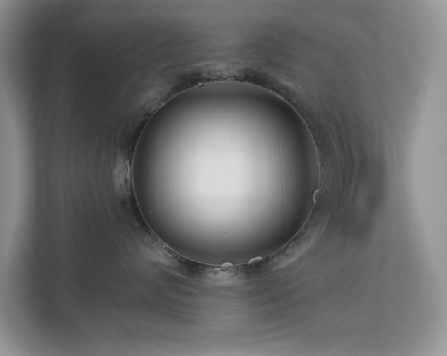 X0000112940624200908241321