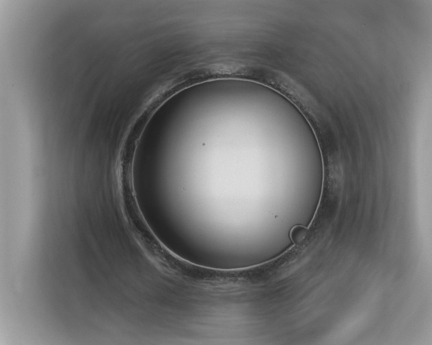 X0000112940626200908241321