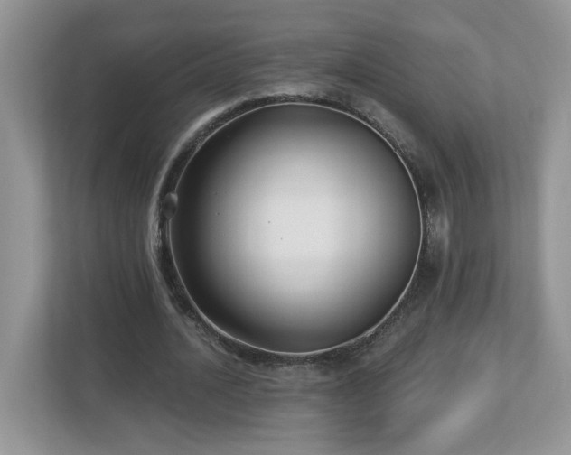 X0000112940628200908241321