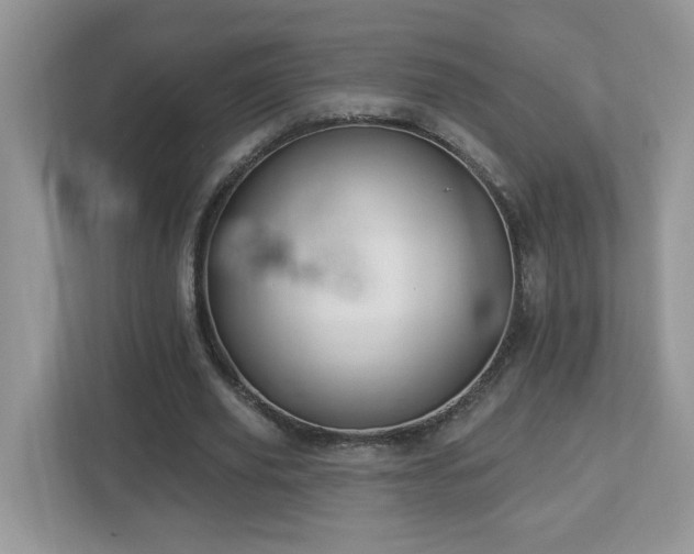 X0000112940629200908241321