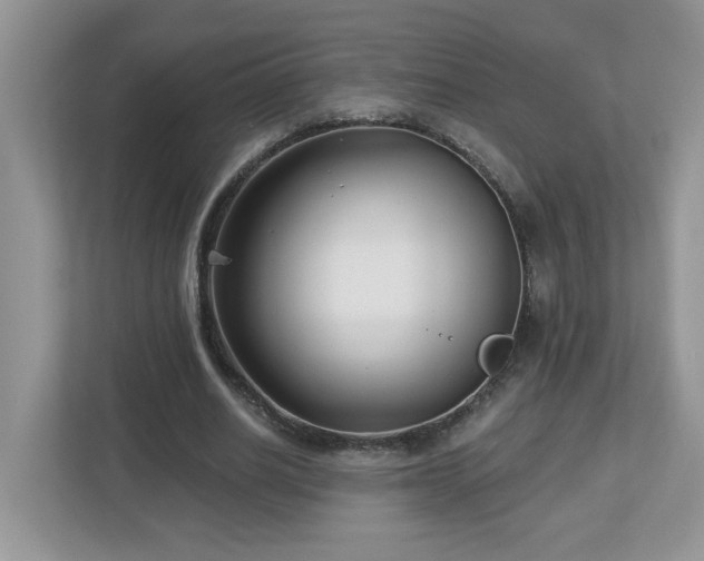 X0000112940630200908241321