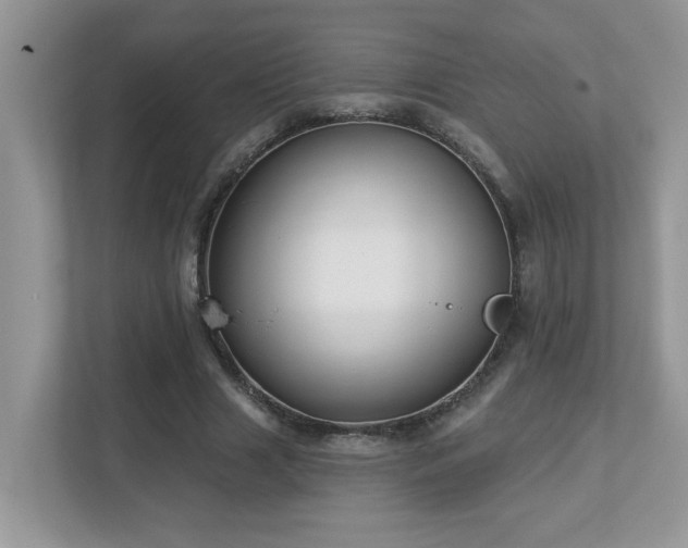 X0000112940633200908241321