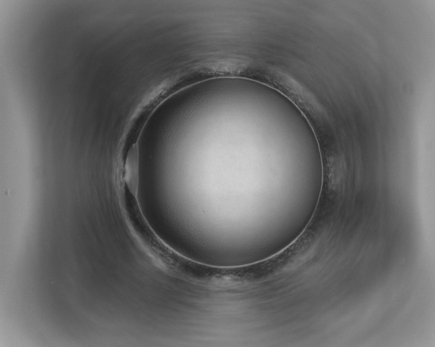 X0000112940634200908241321