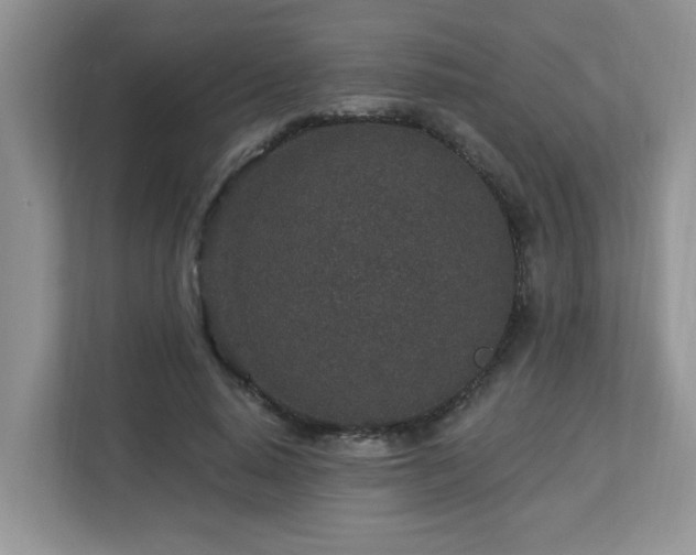 X0000112940640200908241321