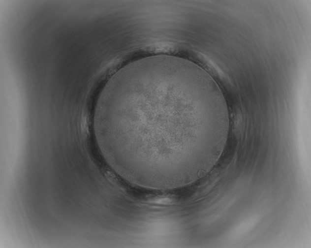 X0000112940643200908241321