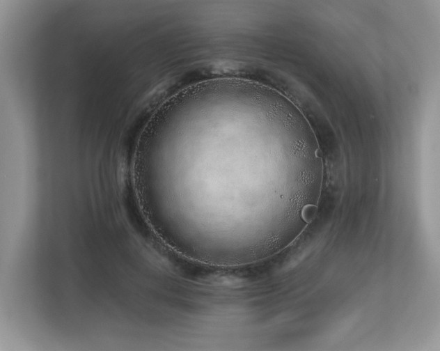 X0000112940648200908241321