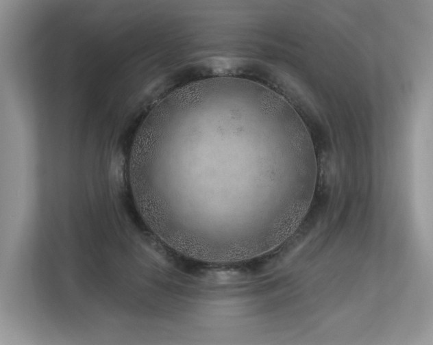 X0000112940650200908241321