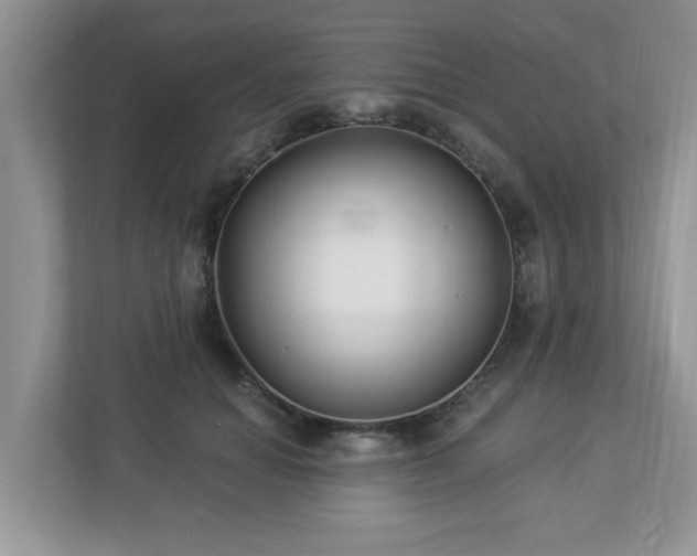 X0000112940654200908241321