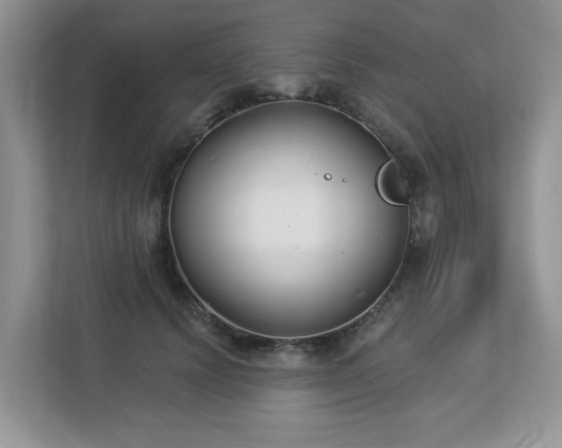 X0000112940656200908241321