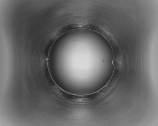 X0000112940657200908241321