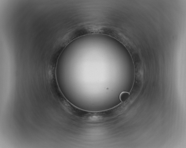X0000112940658200908241321