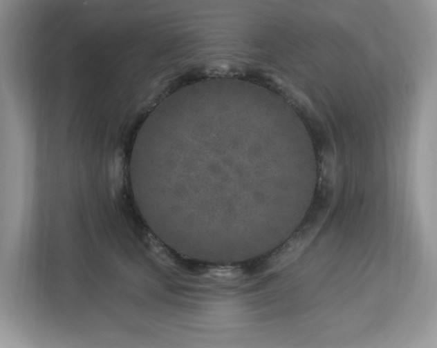 X0000112940659200908241321