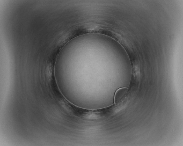 X0000112940664200908241321
