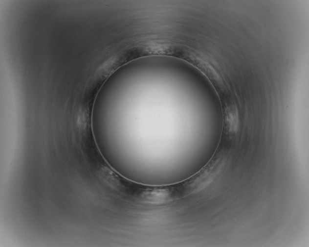 X0000112940665200908241321