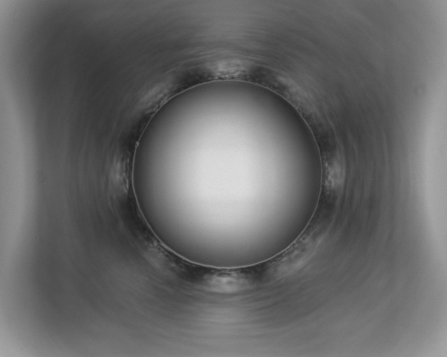 X0000112940666200908241321