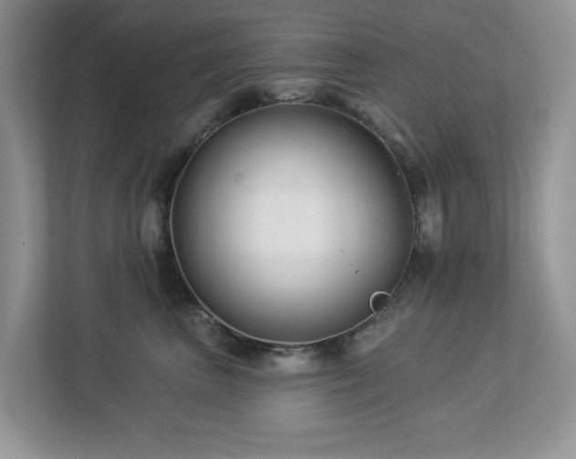 X0000112940667200908241321