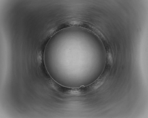 X0000112940668200908241321