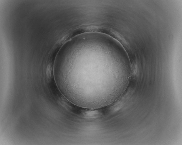 X0000112940669200908241321