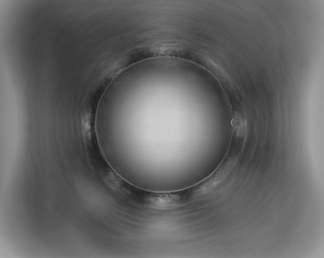 X0000112940670200908241321