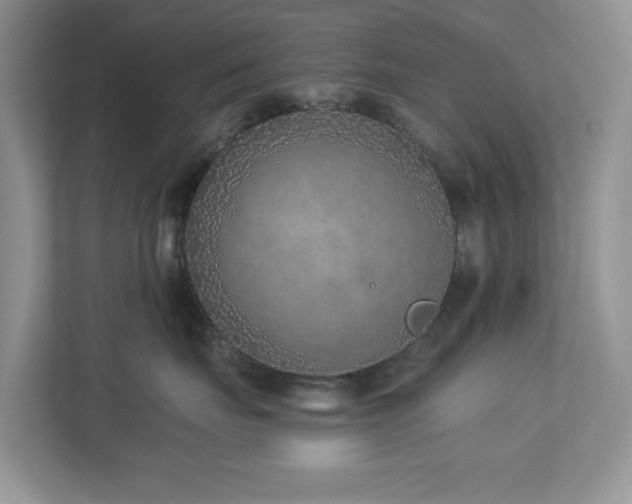 X0000112940671200908241321
