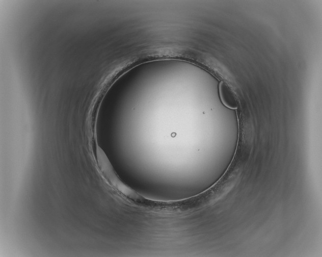 X0000112940673200908241321
