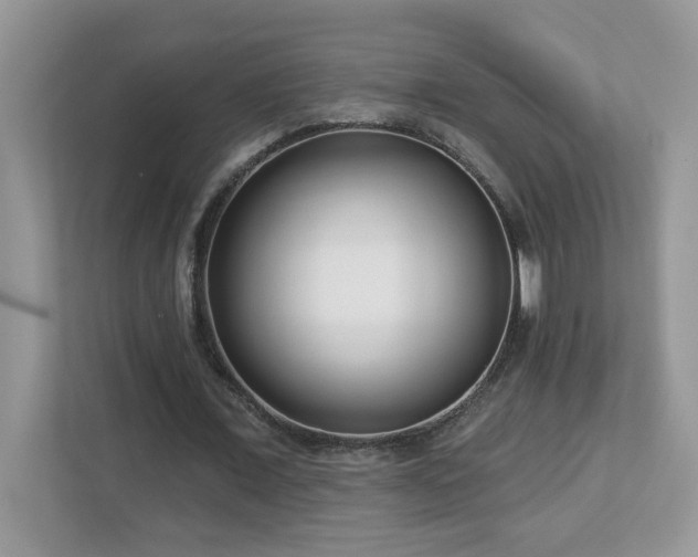 X0000112940675200908241321