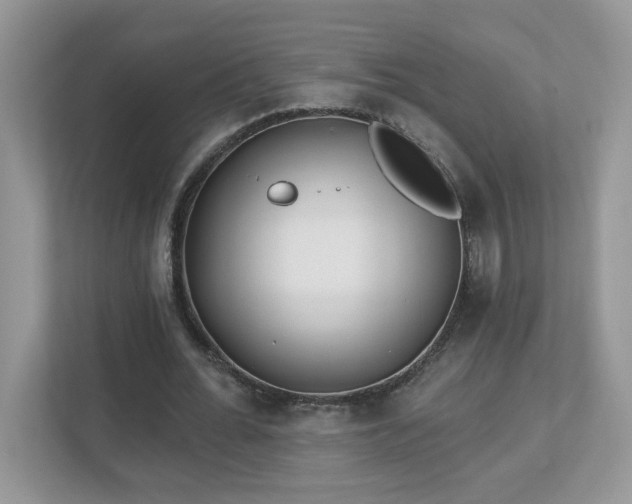 X0000112940676200908241321