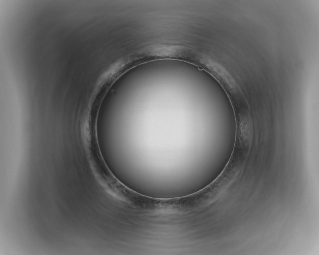 X0000112940682200908241321