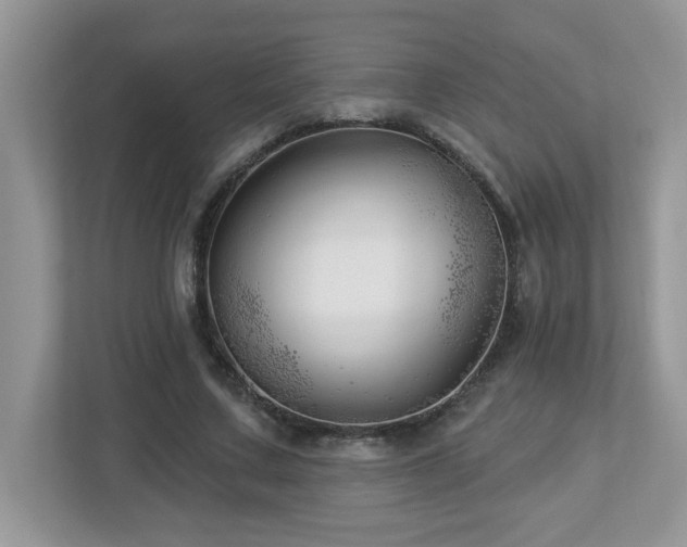 X0000112940683200908241321