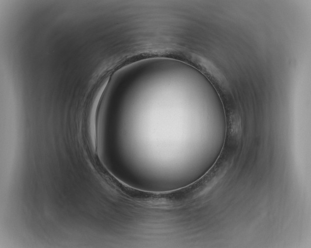 X0000112940685200908241321