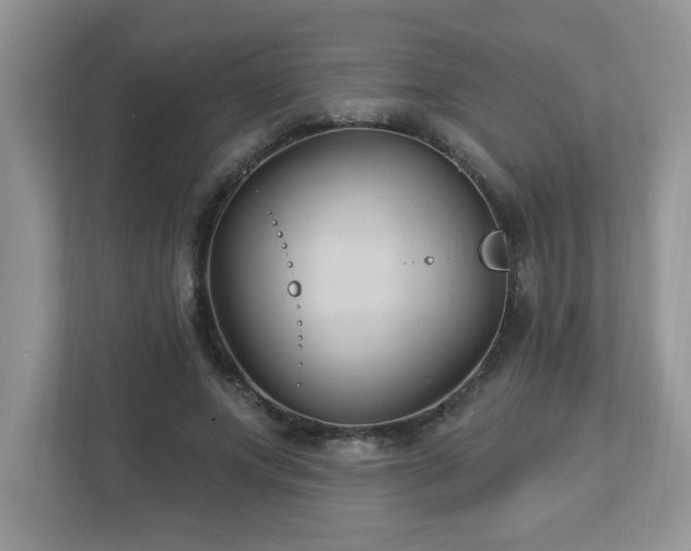 X0000112940687200908241321