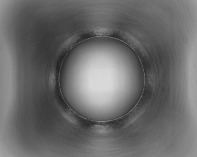 X0000112940690200908241321