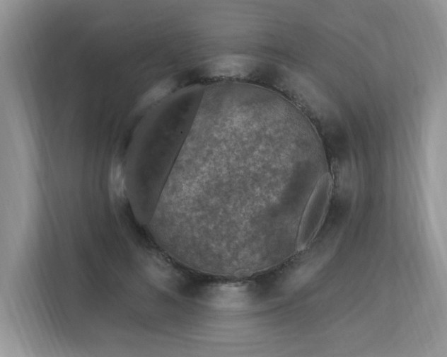 X0000112940692200908241321