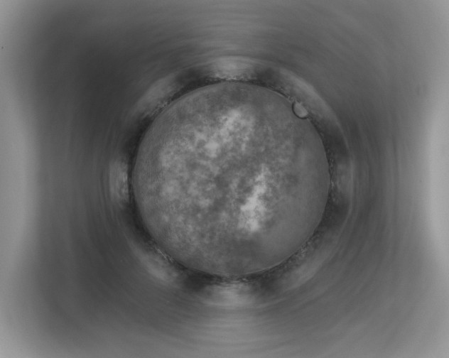 X0000112940696200908241320