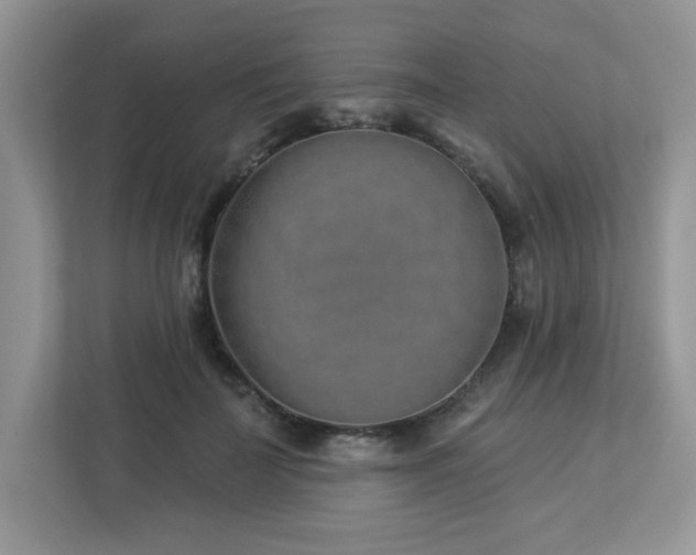 X0000112940699200908241320