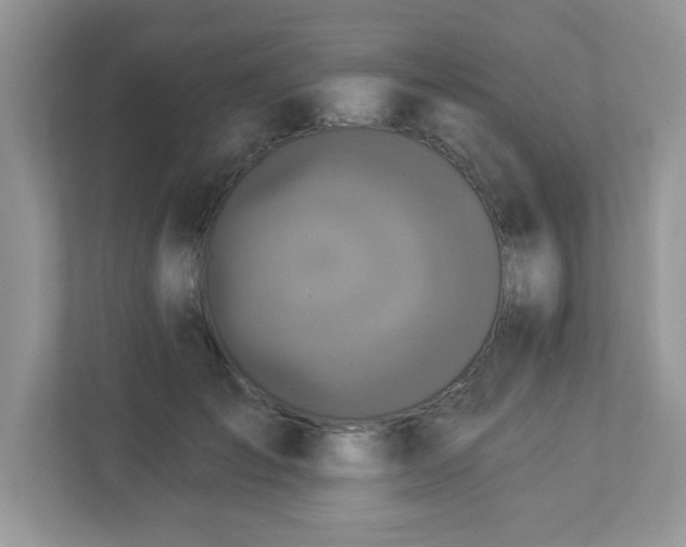 X0000112940701200908241320