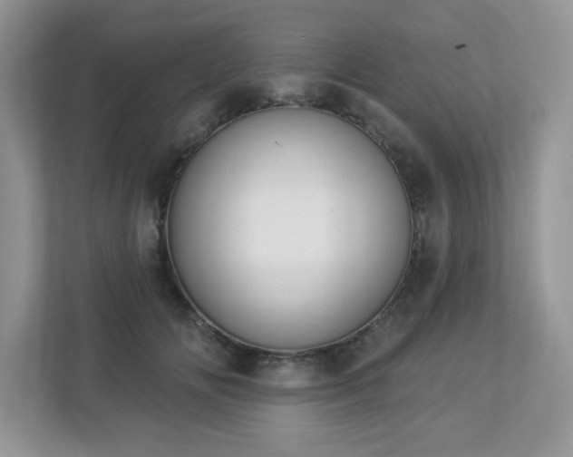 X0000112940702200908241320