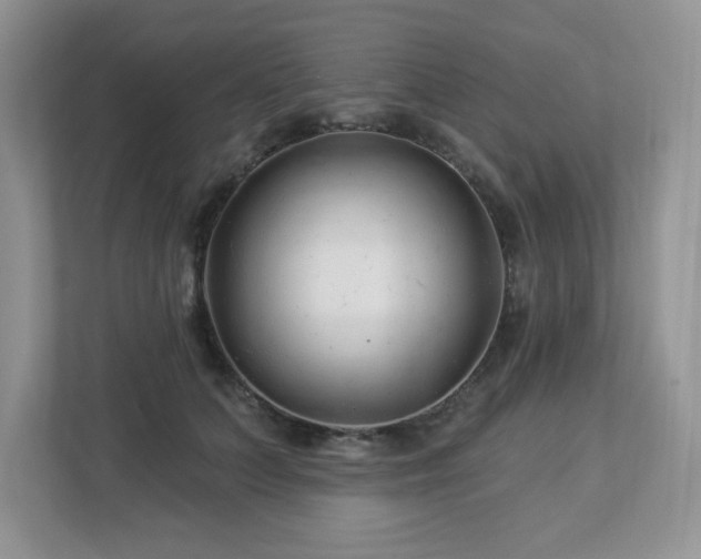 X0000112940703200908241320