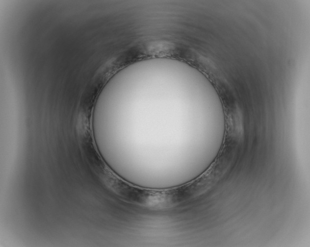 X0000112940705200908241320