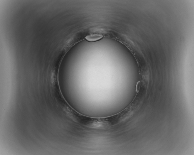X0000112940708200908241320