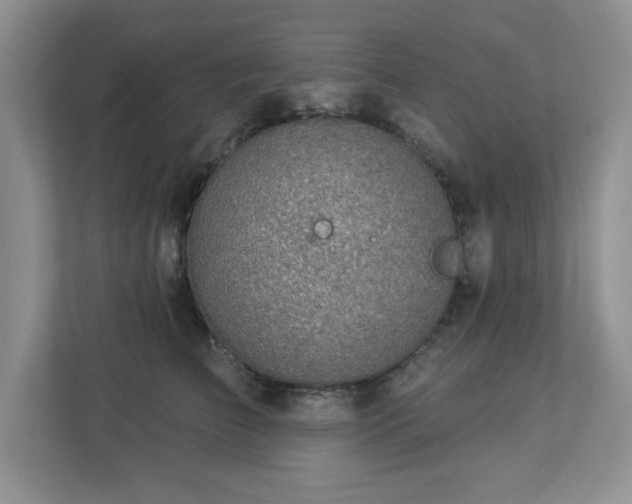X0000112940709200908241320