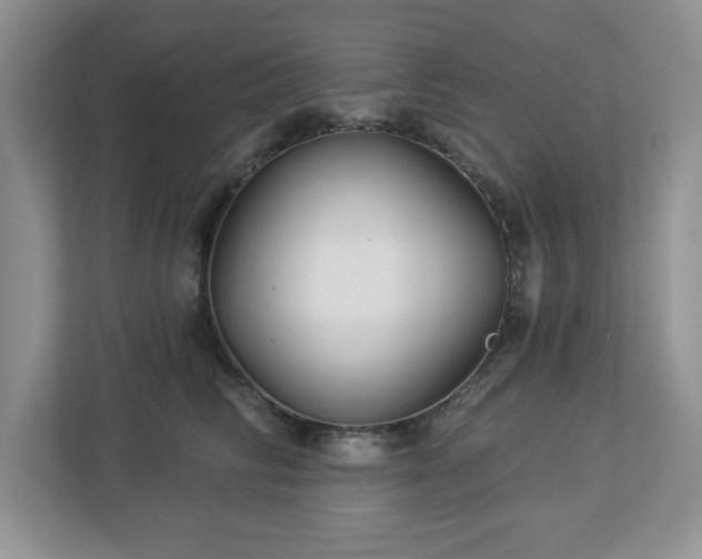 X0000112940710200908241320