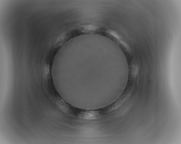 X0000112940711200908241320
