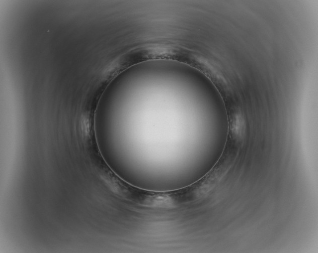 X0000112940715200908241320