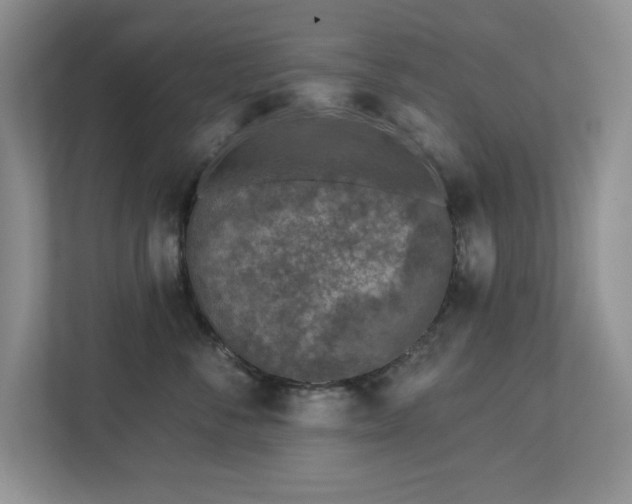 X0000112940716200908241320